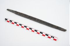 Foto von Bronzeraspel (NHMW-PRAE-025825)